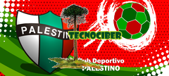 Equipos Futbol Chileno (24)